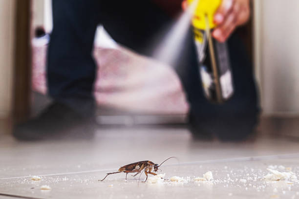 Best Local Pest Control Services  in Thorofare, NJ